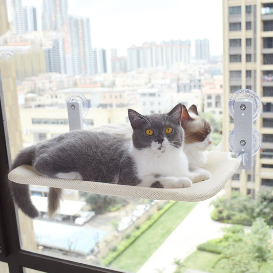 Kattenhangmat – Zuignap voor Raam en Glas