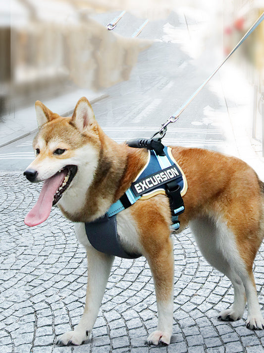 Secure Hiker Harness Vest