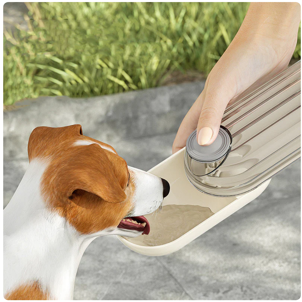 Why Every Dog Owner Needs a 2-in-1 Pet Water & Food Bottle