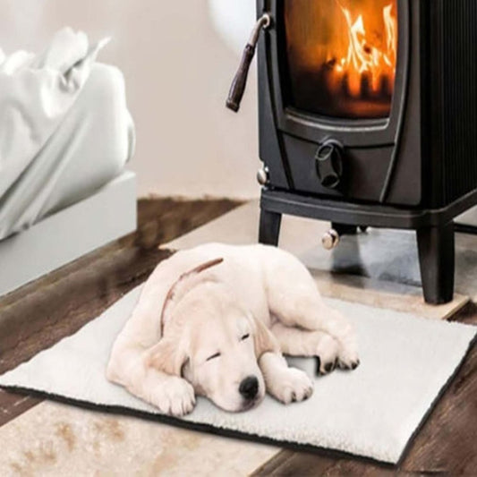 Pet Blanket for Cold Days     