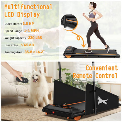 Dog Treadmill