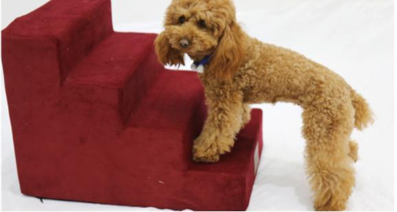 Pet Stair Ladder