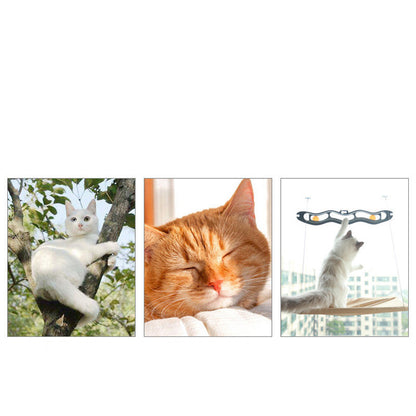 Hangende Kattenhangmat – Zuignap voor Raam met katten die ontspannen en spelen.