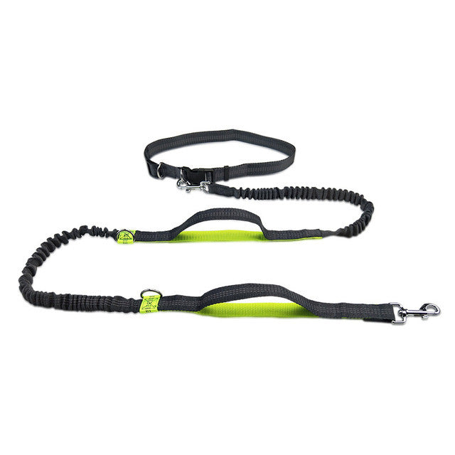 Jogging Leash & Harness          