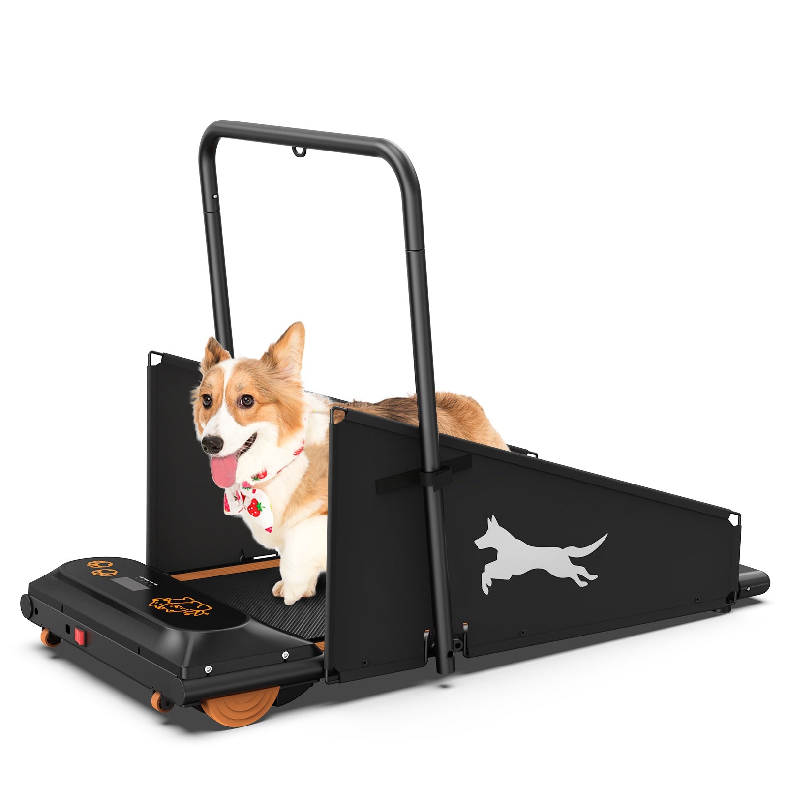 Dog Treadmill