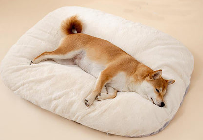Oval Cushion Dog Bed