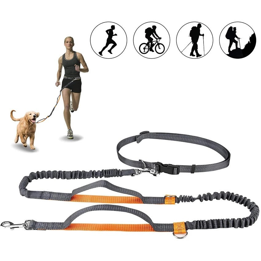 Jogging Leash & Harness          