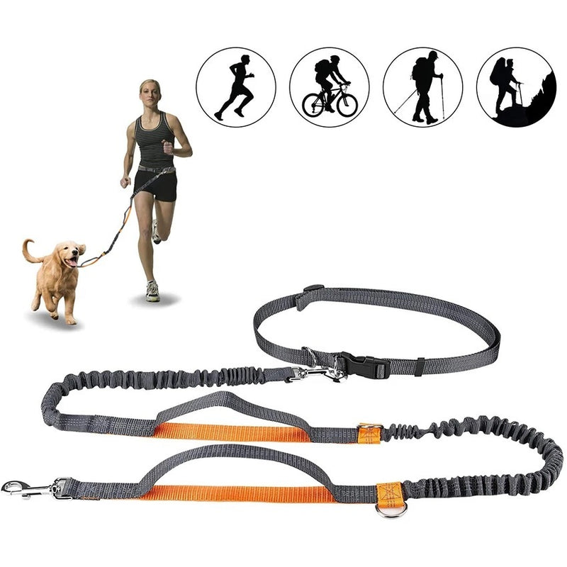 Jogging Leash & Harness