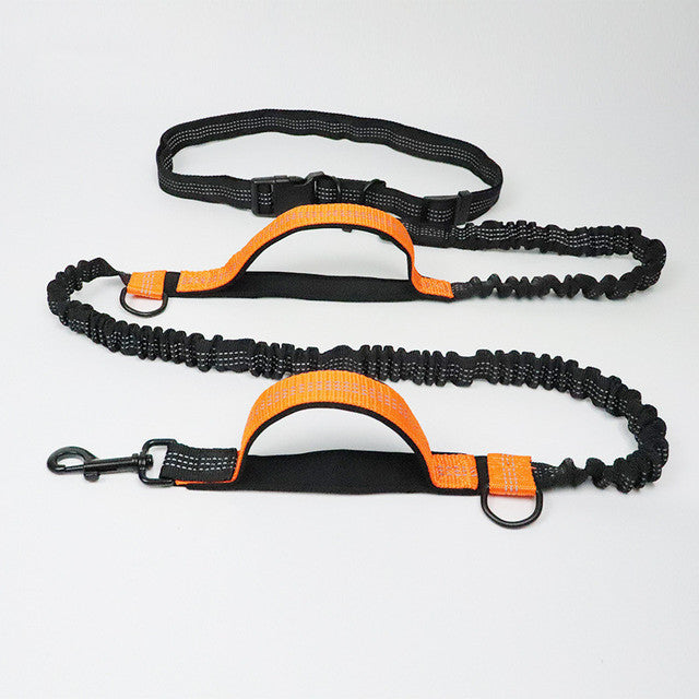 Jogging Leash & Harness          